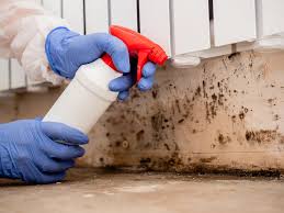 Best Residential Mold Inspection & Testing in Vandergrift, PA